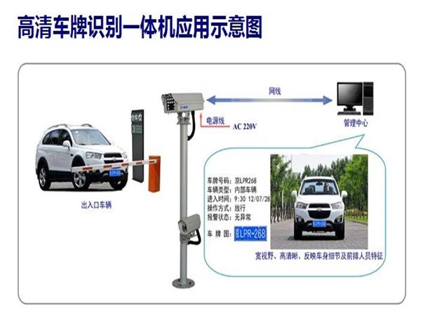 徐州红杏APP视频永久网址公司